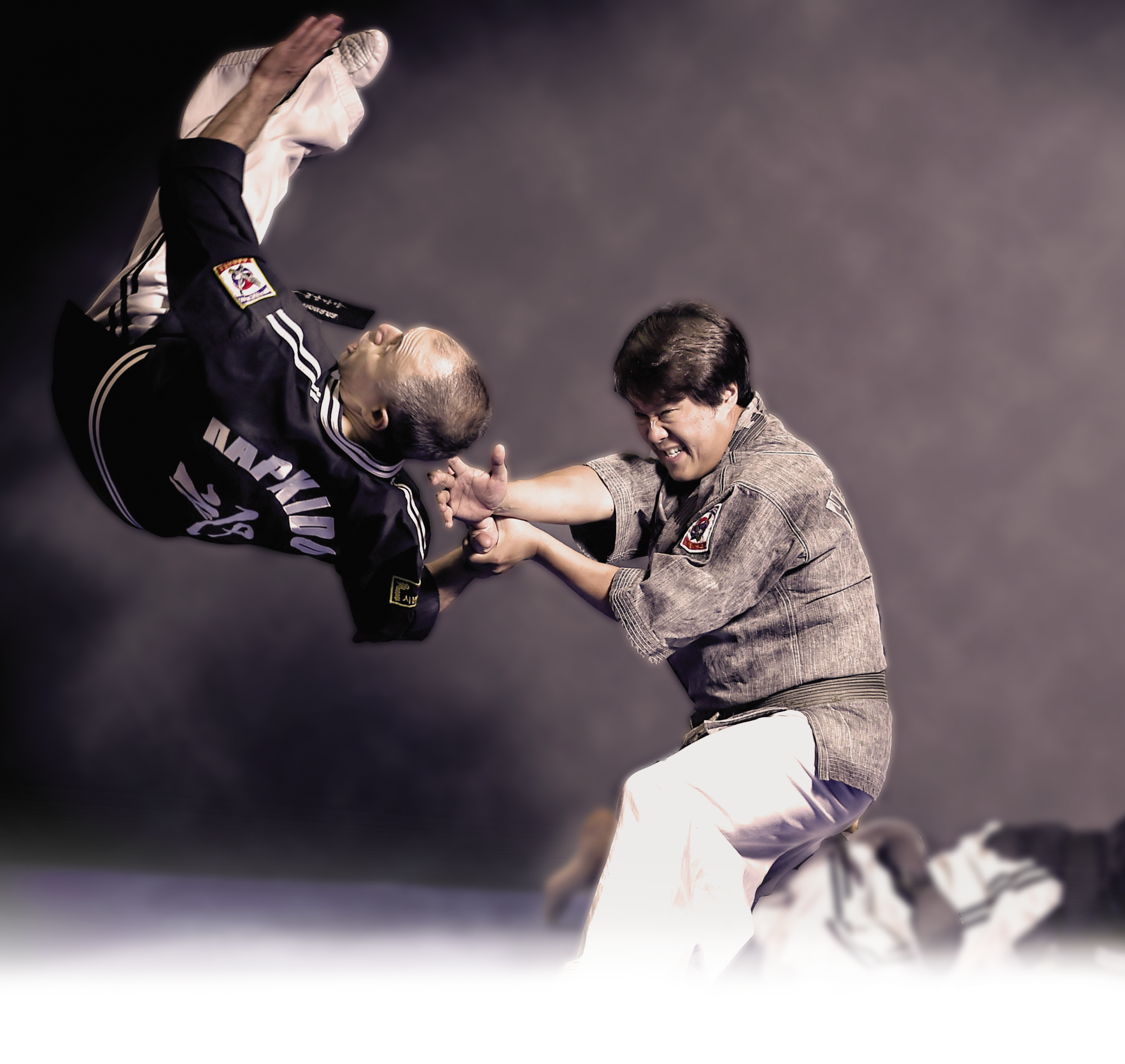 TAEKWONDO_SEINE_ET_MARNE_77_CDT_COMITE_DEPARTEMENTAL_ILE_DE_FRANCE_HAPKIDO