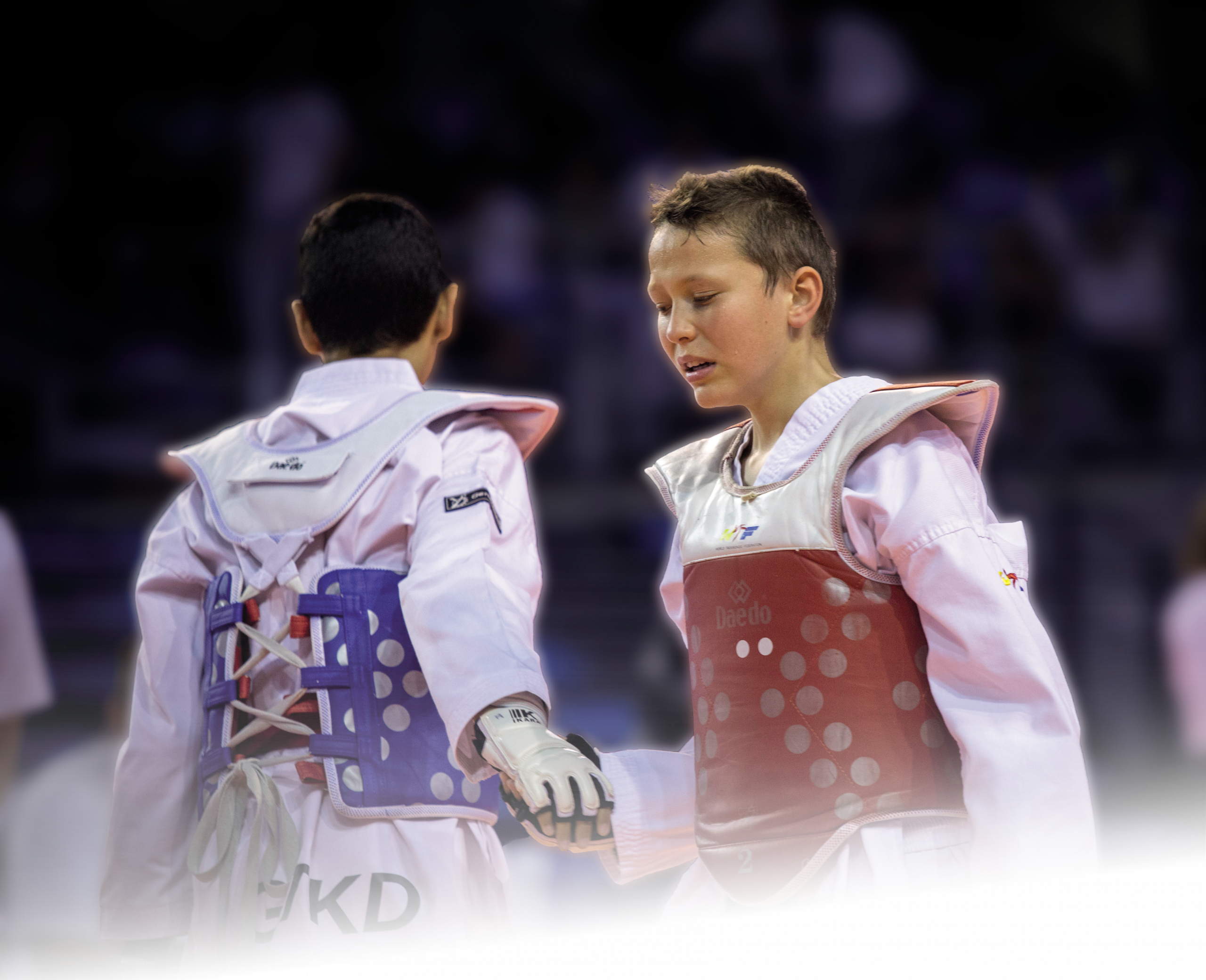 TAEKWONDO_SEINE_ET_MARNE_77_CDT_COMITE_DEPARTEMENTAL_ILE_DE_FRANCE_COMBAT_COMPETITION