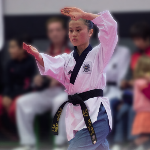 COMITE_DEPARTEMENTAL_TAEKWONDO_SEINE_ET_MARNE_77_DEVELOPPEMENT