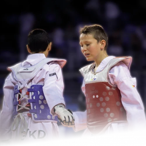 COMITE_DEPARTEMENTAL_TAEKWONDO_SEINE_ET_MARNE_77_DEVELOPPEMENT_ORGANISTATION